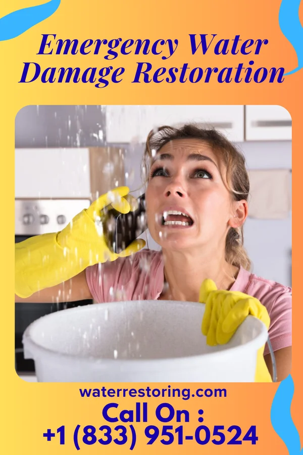 Emergency Water Damage Restoration in Memphis, MI