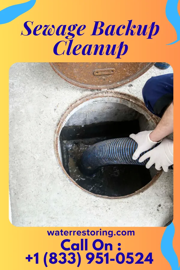Sewage Backup Cleanup in Memphis, MI