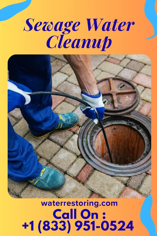 Sewage Water Cleanup in Memphis, MI