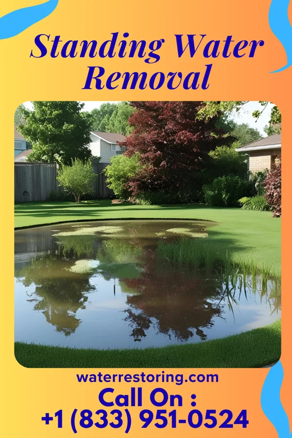 Standing Water Removal in Memphis, MI